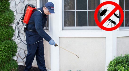 Susurluk Kene İlaçlama böcek ilaçlama ve haşere kontrolü — ilaclama-tr.com